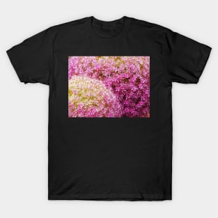 An Outburst Of Summer T-Shirt